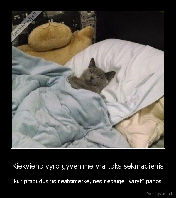 Kiekvieno vyro gyvenime yra toks sekmadienis