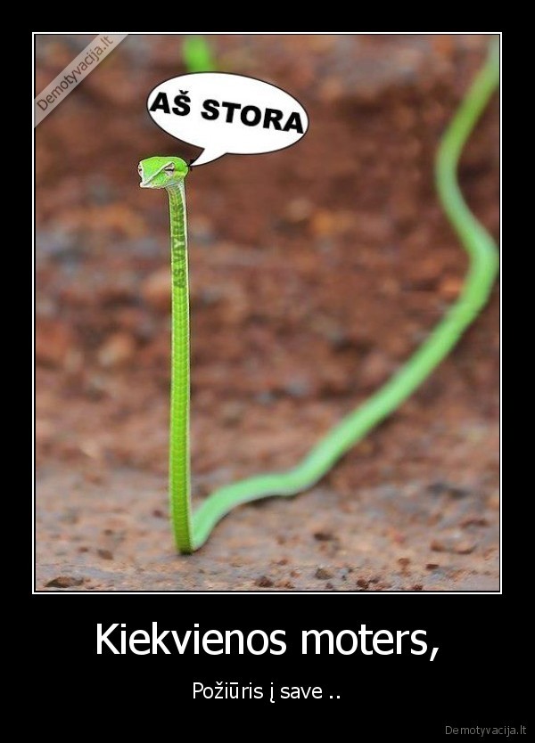 Kiekvienos moters,