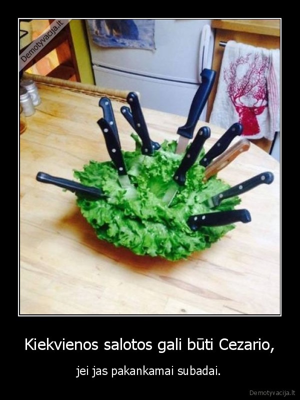 salotos,cezaris