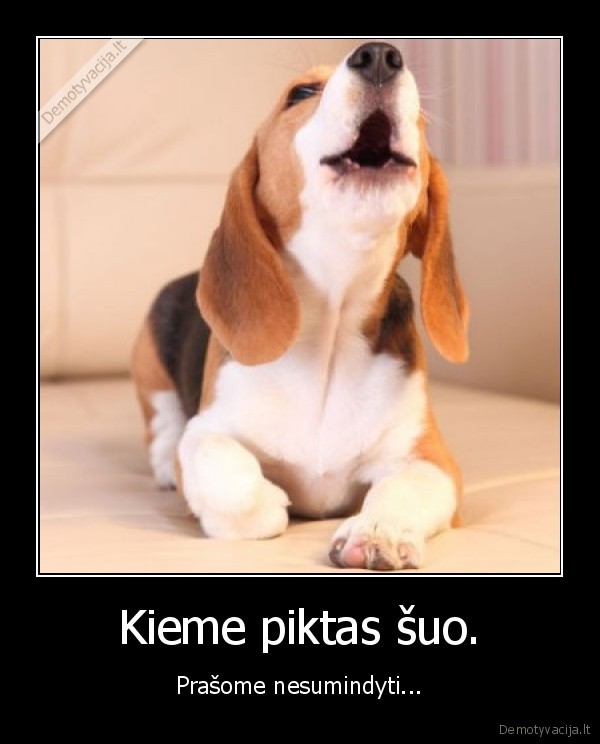 piktas,suo
