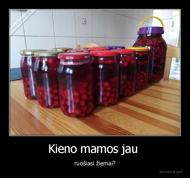 vysnios,ziema,stiklainiai