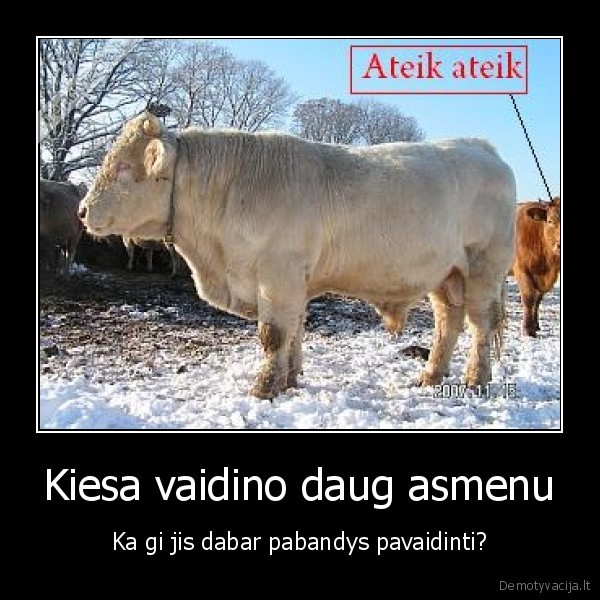 kiesa