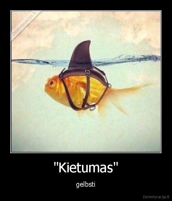 &quot;Kietumas&quot;