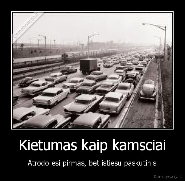 kamsciai, kietumas