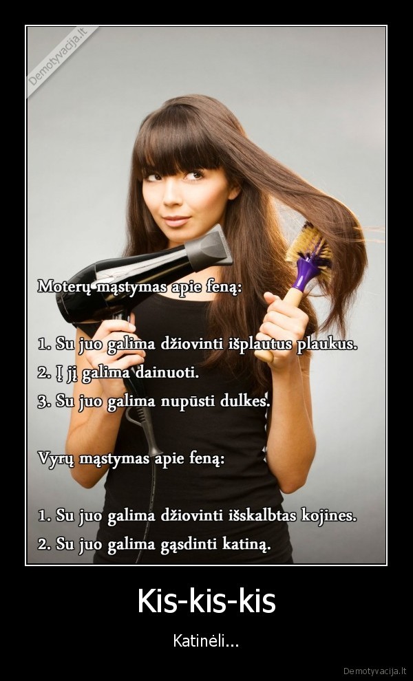 fenas,plauku, dziovintuvas