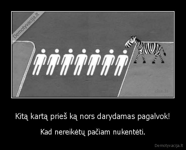 zebras,pereja,zmogus