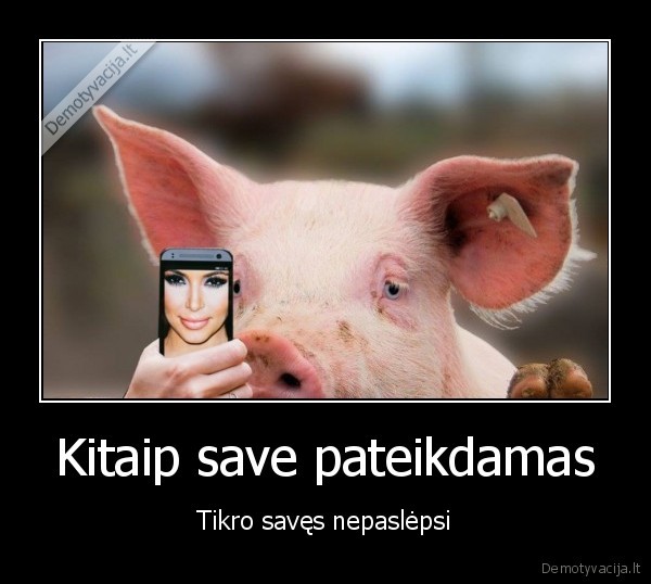 kiaule,selfie,selfis,asmenuke