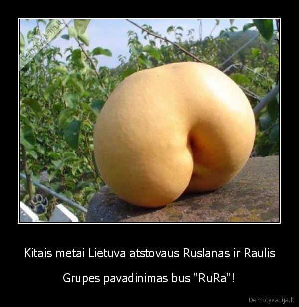 koncita,bybita,krc