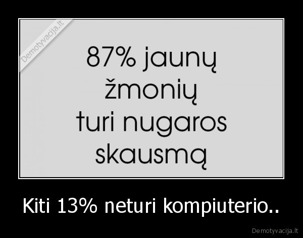 Kiti 13% neturi kompiuterio..