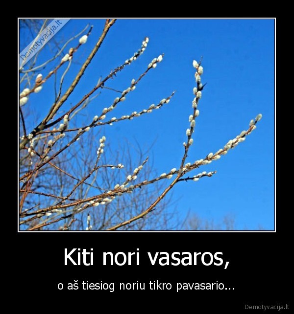 pavasaris