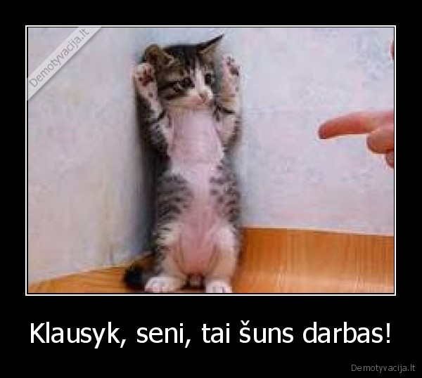 katinas,suo