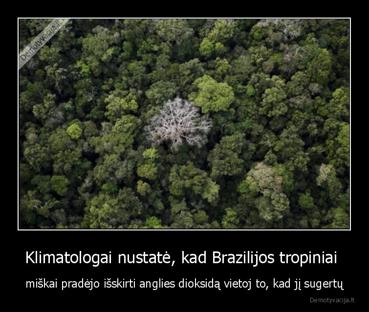 anglies, dioksidas,miskai,brazilija