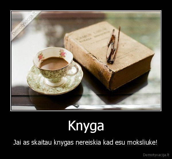 Knyga