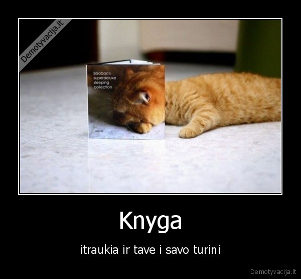 Knyga