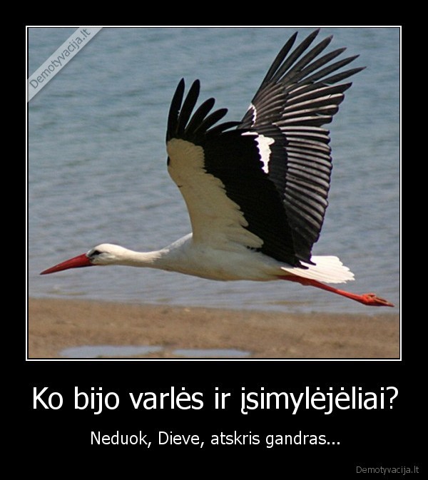 Ko bijo varlės ir įsimylėjėliai?