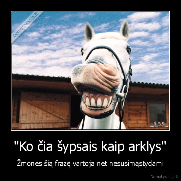 ''Ko čia šypsais kaip arklys''