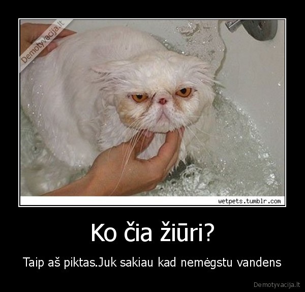 Ko čia žiūri?