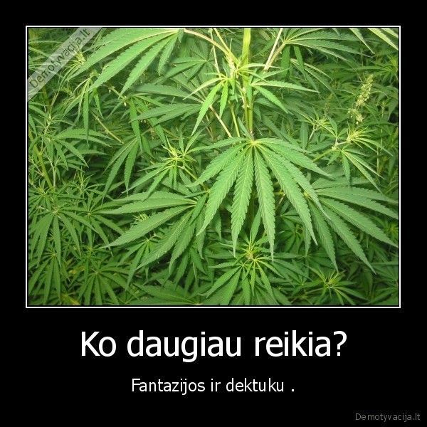 Ko daugiau reikia?