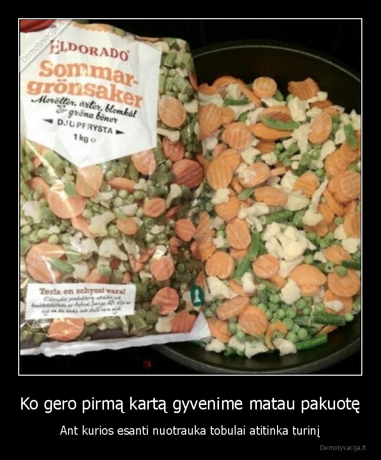 darzoves
