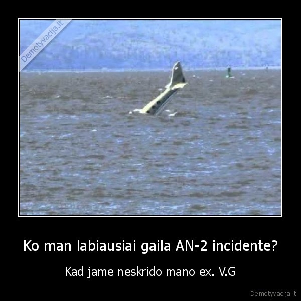 Ko man labiausiai gaila AN-2 incidente?