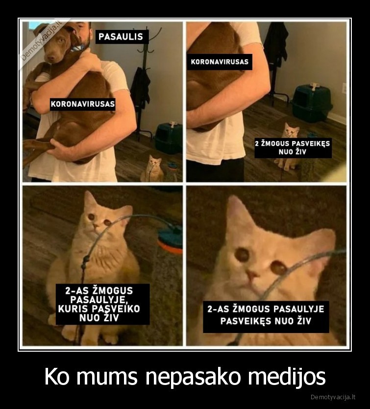 medijos,zinios,ziv,virusas