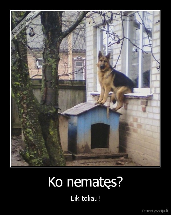 suo,palange,buda
