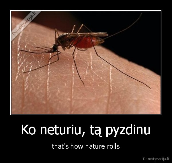 uodai,pyzdinu,to,ko, neturiu,mldc,kraujas,pinigai,ubagas,sielos,vagis