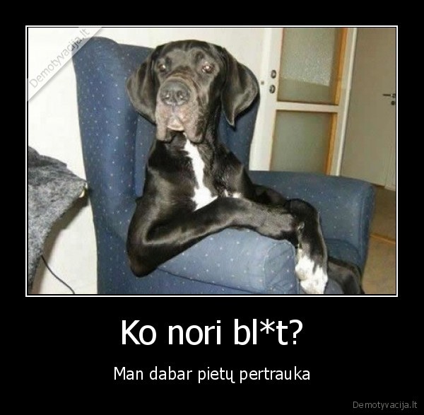 Ko nori bl*t?