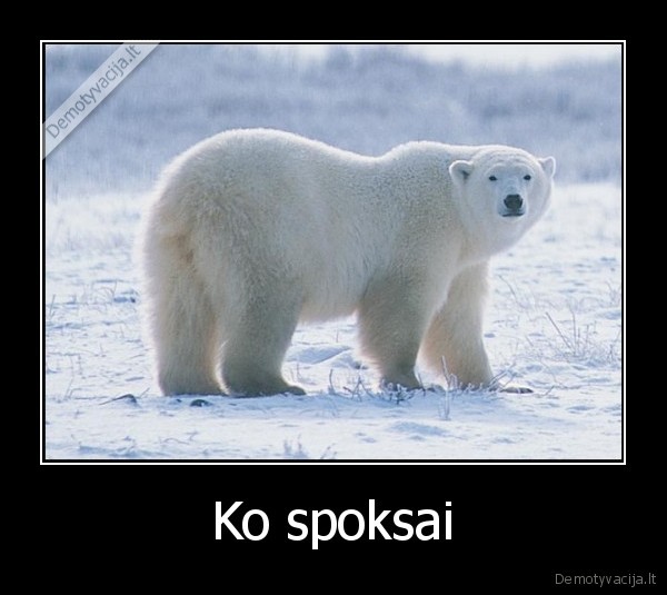 Ko spoksai