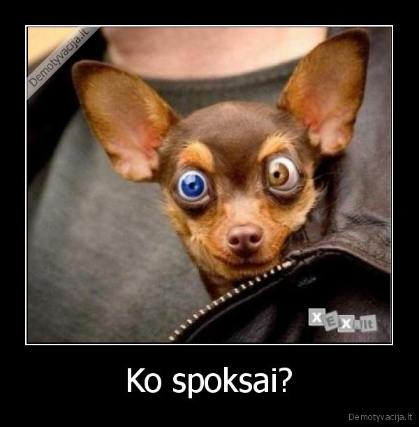 piktas, suo