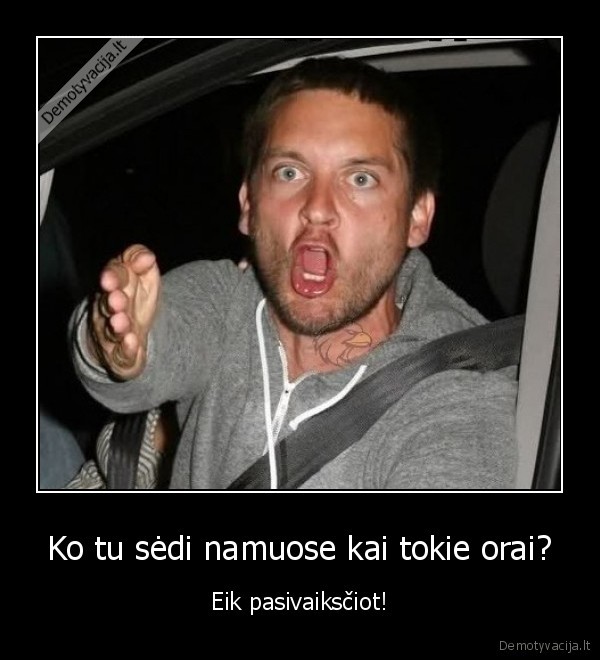 orai,silta,vasara,namuose,pc