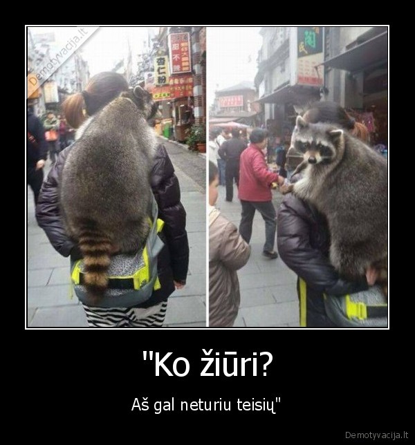 meskenas,motociklas