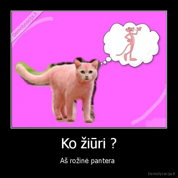 rozine,spalva