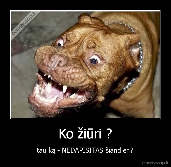 Ko žiūri ?