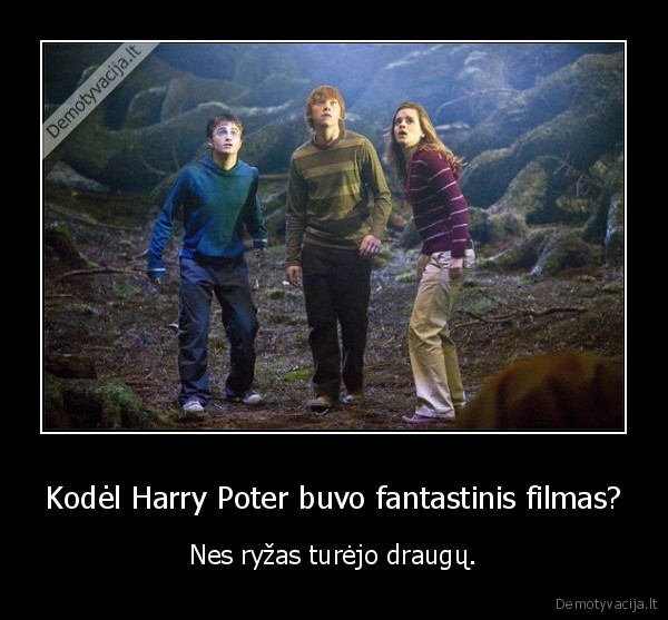 smoriginas,ciulpti,kotas
