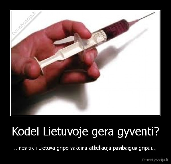 Kodel Lietuvoje gera gyventi?