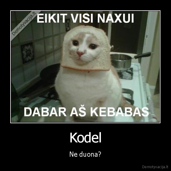 kebabas,katinas