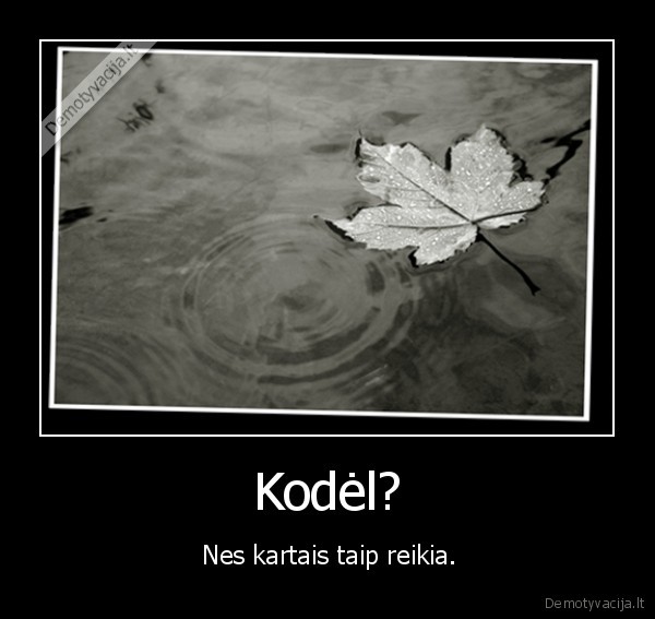 Kodėl?