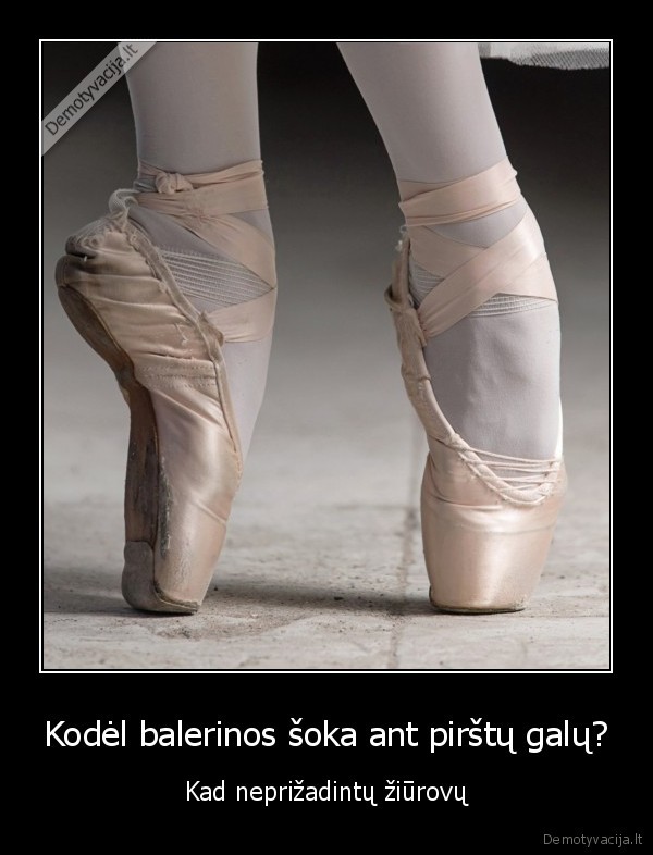 balerinos,baletas