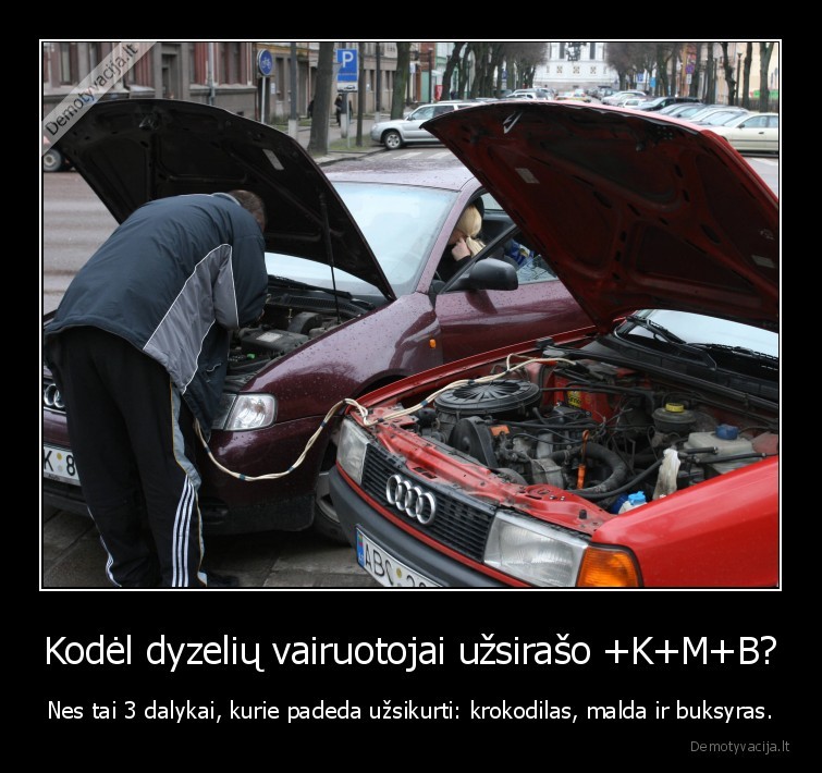 dyzelis,saltis,krokodilas