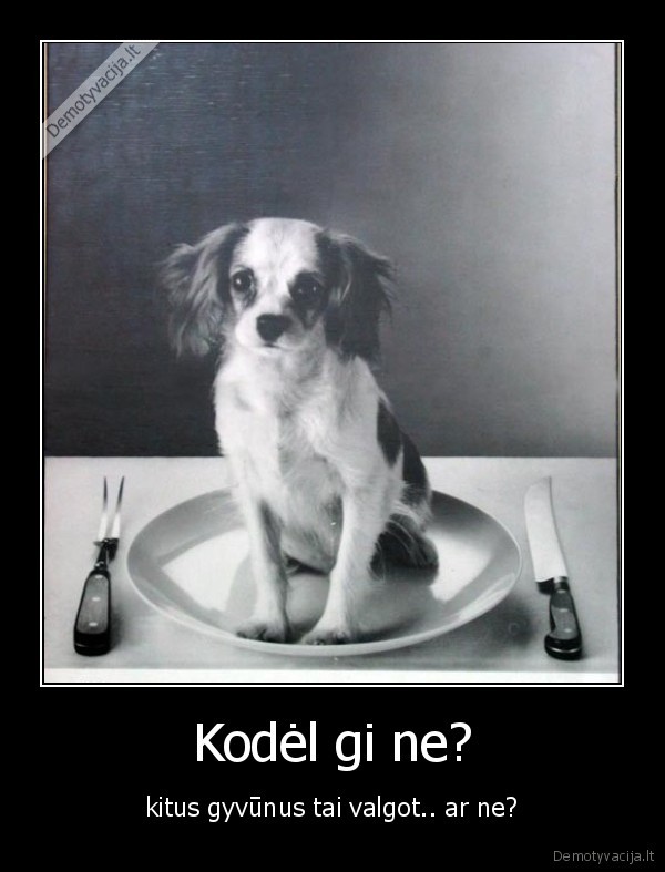 Kodėl gi ne?