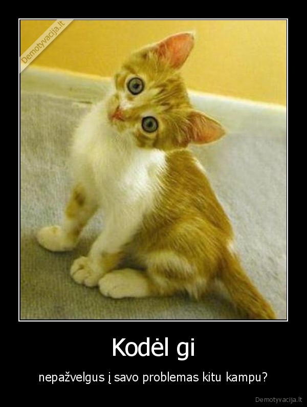 Kodėl gi