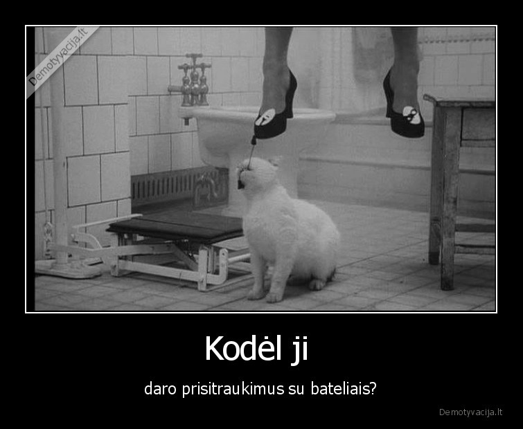 katinas,prisitraukimai,bateliai