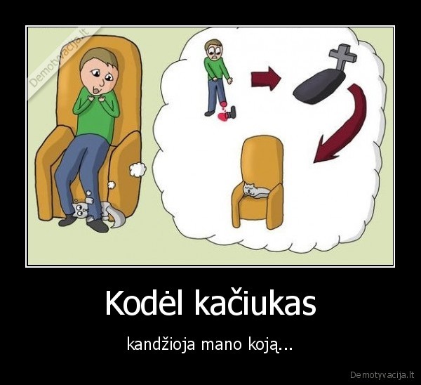 kaciukas,koja