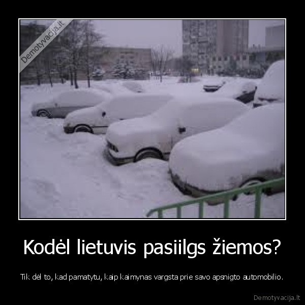 sniegas,automobilis,ziema,kaimynas,lietuvis