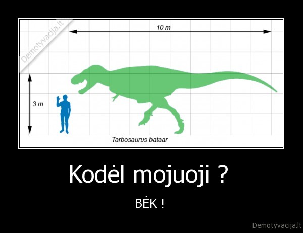 Kodėl mojuoji ? 