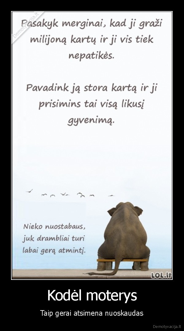 drambliai,stora, moteris