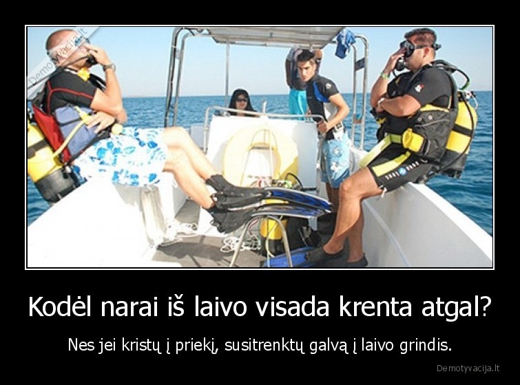logiska
