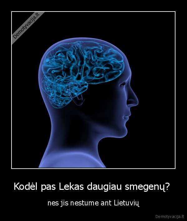 Kodėl pas Lekas daugiau smegenų? 