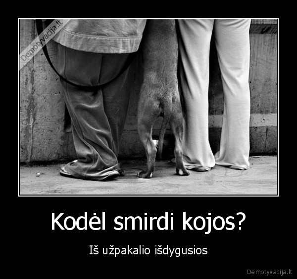 Kodėl smirdi kojos?
